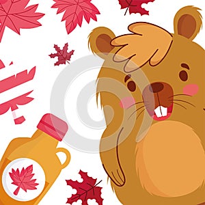 Beaver with canadian leaves and maple syrup of happy canada day vector design
