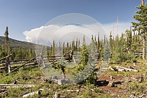 Beaver Creek Fire in North Central Colorado photo