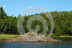 Beaver Dam