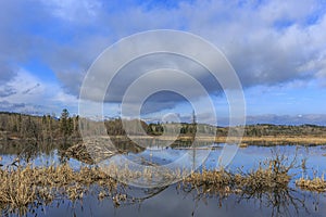 Beaver Dam and Lodge, Bow Valley photo