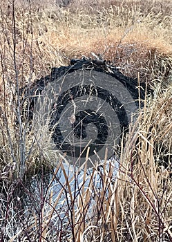 Beaver Dam Marsh Pond LTPBR