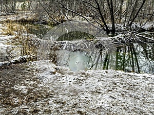 beaver dam on a small forest river in the Middle Urals