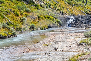 Beaver dams in Laguna Esmeralda trail