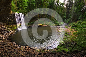 Beaver Falls cascading into a serene pool surrounded by dense forests of Oregon