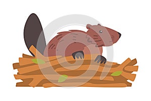 Beaver Gnawing Log, Brown Rodent Wild Mammal Animal Cartoon Vector Illustration