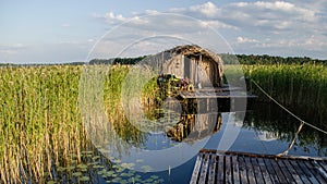 Beaver house in Usma, Latvia