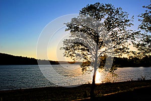 Beaver lake in Rogers Arkansas at sunset