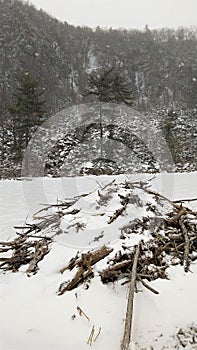 Beaver lodge in snow