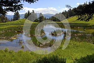 Beaver Pond