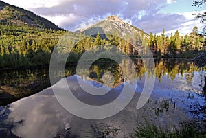 Beaver Pond