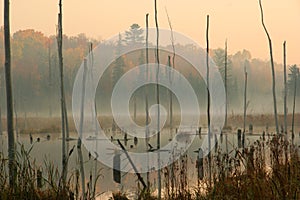 Beaver Pond in Autumn