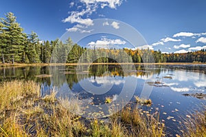 Beaver Pond in Autumn