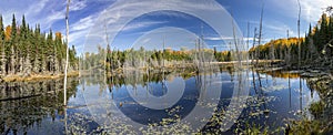 Beaver Pond in Autumn - Ontario, Canada