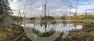 Beaver Pond in Autumn - Ontario, Canada