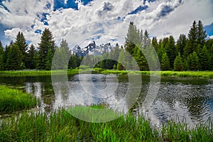 Beaver pond with the Grand Teton Mountains in the background