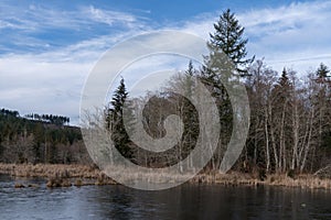 Beaver Pond