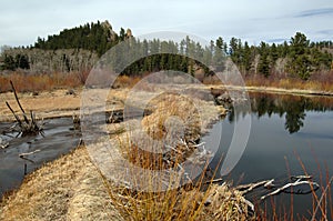 Beaver Ponds