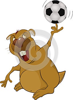 The beaver the soccer player
