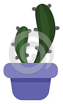 Beaver tail cactus in a purple pot, icon icon
