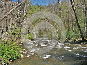 Beaverdam Creek at Backbone Rock