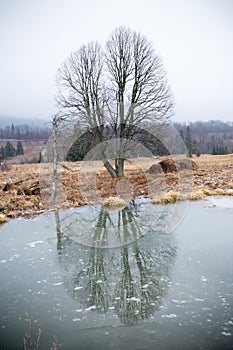 Beavers lake photo