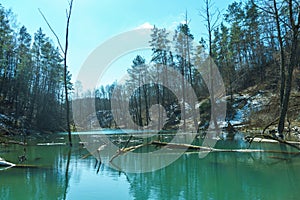 Beavers on the river are building a dam and burrows from fallen trees. A lot of fallen trees and branches worsen the flow of the