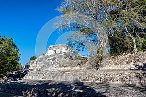 Becan Ruins and Trees photo