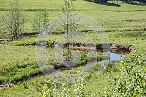 Beck meanders in the field