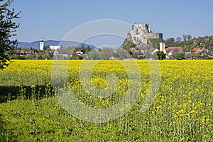 Beckov castle with oilseed rape yellow field, Slovakia