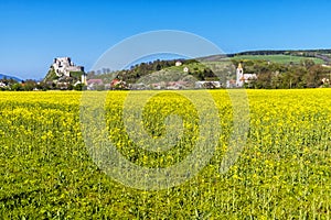 Hrad Beckov s repkovým žltým poľom, Slovensko