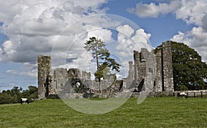 Bective Abbey