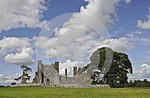 Bective Abbey