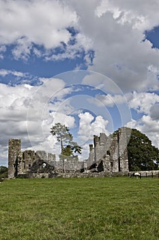 Bective Abbey