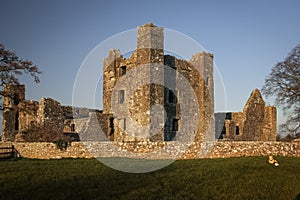 Bective Abbey. Trim. county Meath. Ireland