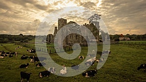 Bective Abbey. Trim. county Meath. Ireland