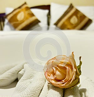 Bed In A Boutique Hotel With A Single Rose