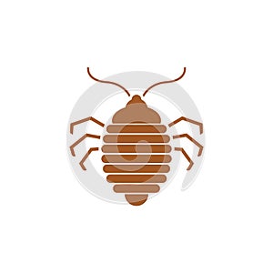 Bed bug icon. bedbug sign. chinch vector illustration photo