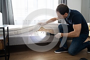 Bed Bug Infestation And Treatment Service