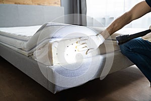 Bed Bug Infestation And Treatment Service