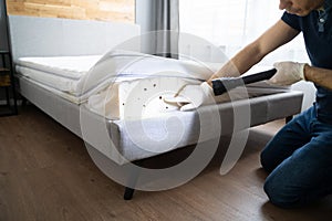 Bed Bug Infestation And Treatment Service