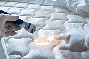 Bed Bug Infestation And Treatment Service