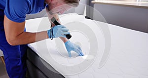 Bed Bug Infestation And Treatment Service