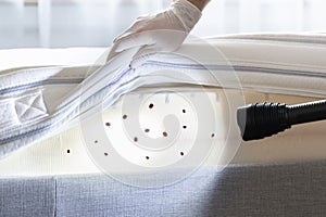 Bed Bug Infestation And Treatment Service