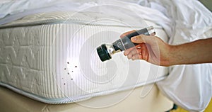 Bed Bug Infestation And Treatment Service