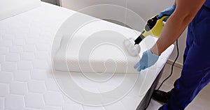 Bed Bug Pillow Pest Control Cleaning