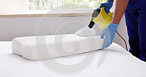 Bed Bug Pillow Pest Control Cleaning