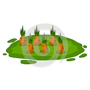 Bed with the carrot. Cartoon flat illustration. Growing vegetables on platform.