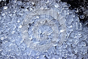 A bed of ice cubes