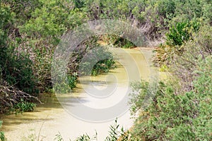Bed of Jordan River near site of Christ\'s baptism on Jordanian bank. In Gospel this place is called Bethavara.