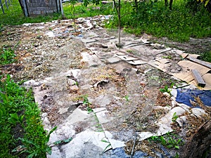 The bed with plants is mulched grass.